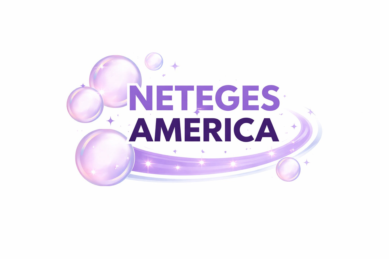 NETEGES AMERICA